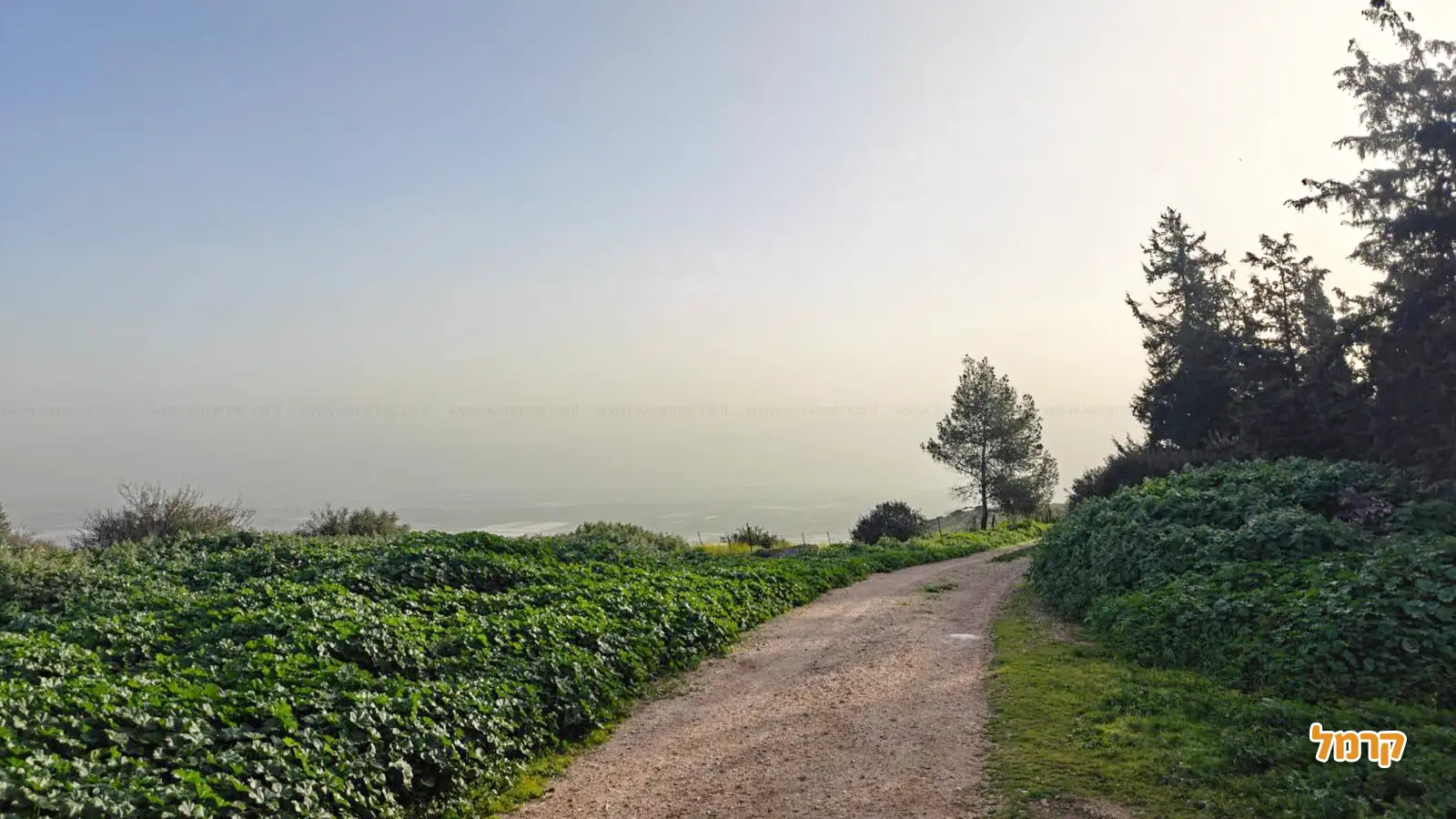 מקטע שביל ישראל בצפון